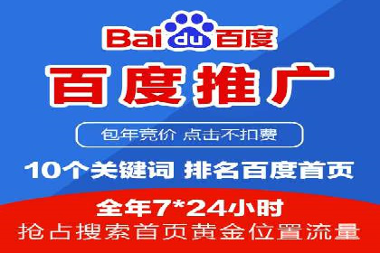 百度广告投放策略：成功案例解析